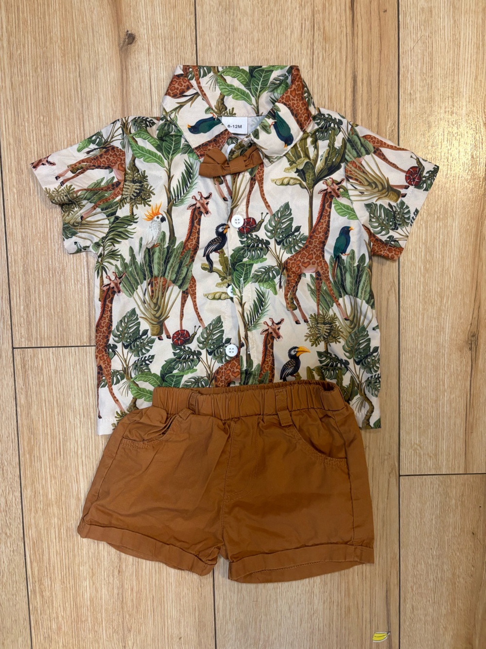 Brown Elastic Waist Women’s Shorts